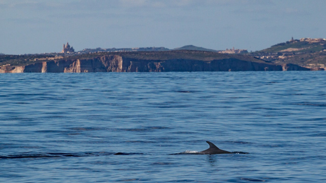 EcoMarine, Malta